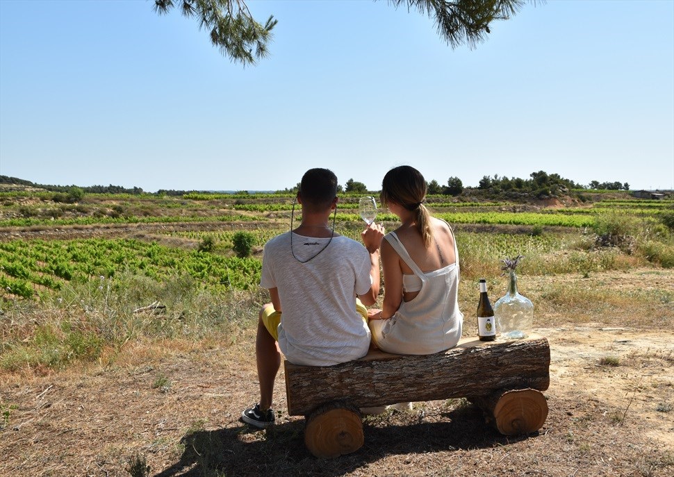  Visita i tast al Celler Bielsa Ruano