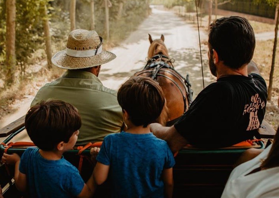 Vallromanes guiats per en Menut