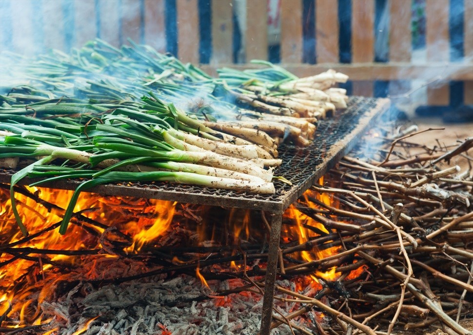  Visita vinya i celler Miquel Jané amb degustació de vins i calçotada