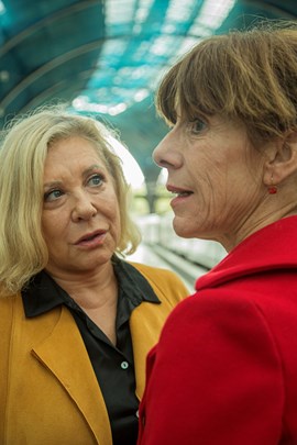 LA MEITAT DE L'ÀNIMA