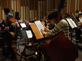 CONCERT DE SANT ESTEVE. Camerata Eduard Toldrà
