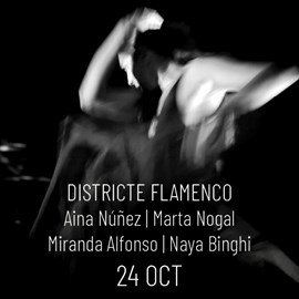 CIUTAT FLAMENCO: Districte Flamenco
