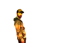 Vierdingo