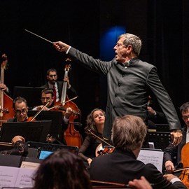 Valsos i danses