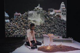 Com es moren els ocells