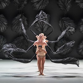 Malandain Ballet Biarritz
