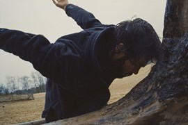 PAU ARAN "Myco"
