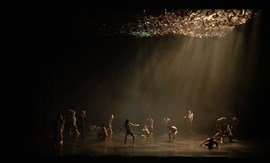 KOREA NATIONAL CONTEMPORANY DANCE COMPANY KNCDC "Jungle"