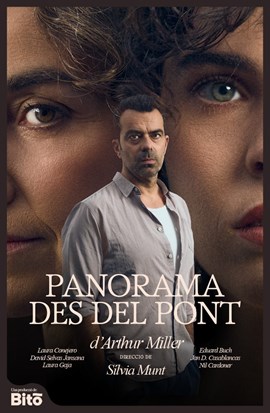 PANORAMA DES DEL PONT