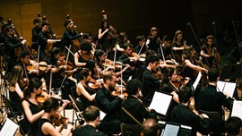 Estiu al Palau - Jove Orquestra Nacional de Catalunya & Valdivieso