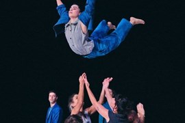 DANSA METROPOLITANA: Faula