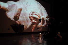 Karla Kracht - Ghost in the Machine - (IF BARCELONA)
