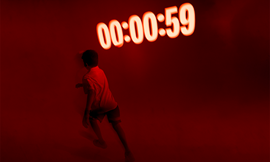 Tinc un bosc al cervell