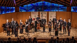 Estiu al Palau - Orquestra del Festival Pau Casals & Weithaas 