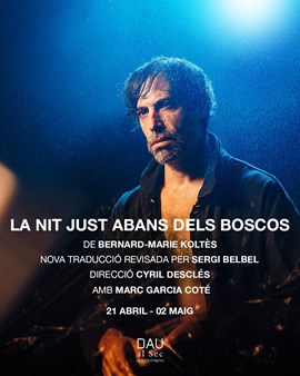 La nit just abans dels boscos