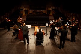 CAMERATA EDUARD TOLDRÀ. Concert per a cordes