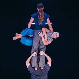 Faula. Cèl·lula #6