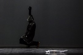 IL TERZO REICH (EL TERCER REICH)