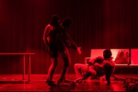 Polles Polles Polles