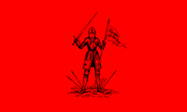 Tallar-se un peu amb una motoserra