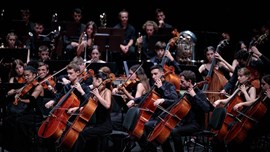 Estiu al Palau - Jove Orquestra Simfònica del Vallès