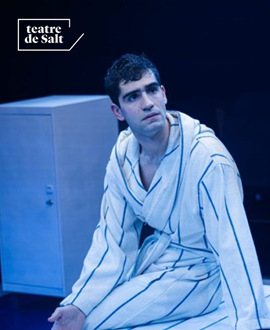 El principi d'Arquimedes