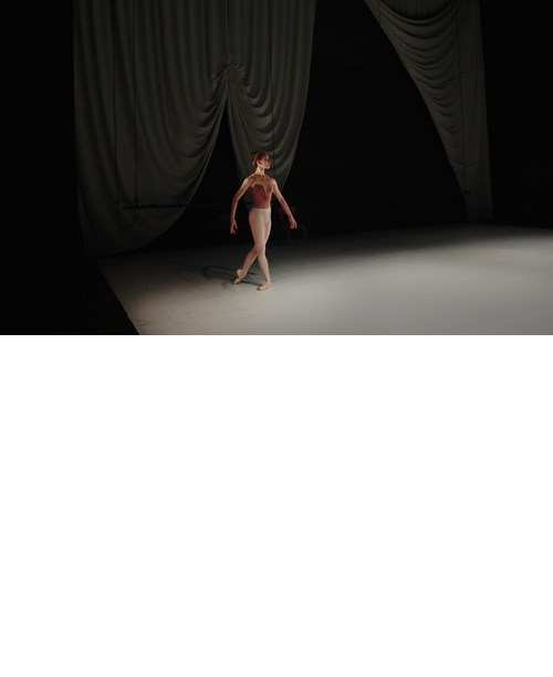 MAR AGUILÓ "Swan"