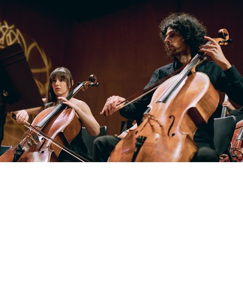 Ignacio Ramal amb la Camerata Penedès - Concert de Nadal