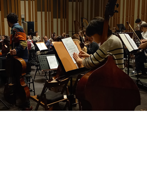 CONCERT DE SANT ESTEVE. Camerata Eduard Toldrà