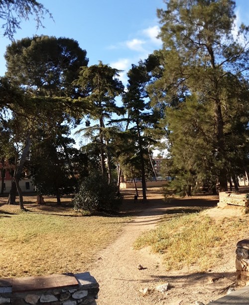 Parc de Mas Iglesias