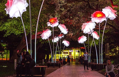  Coloured Peonies · Carrer dels Almogàvers