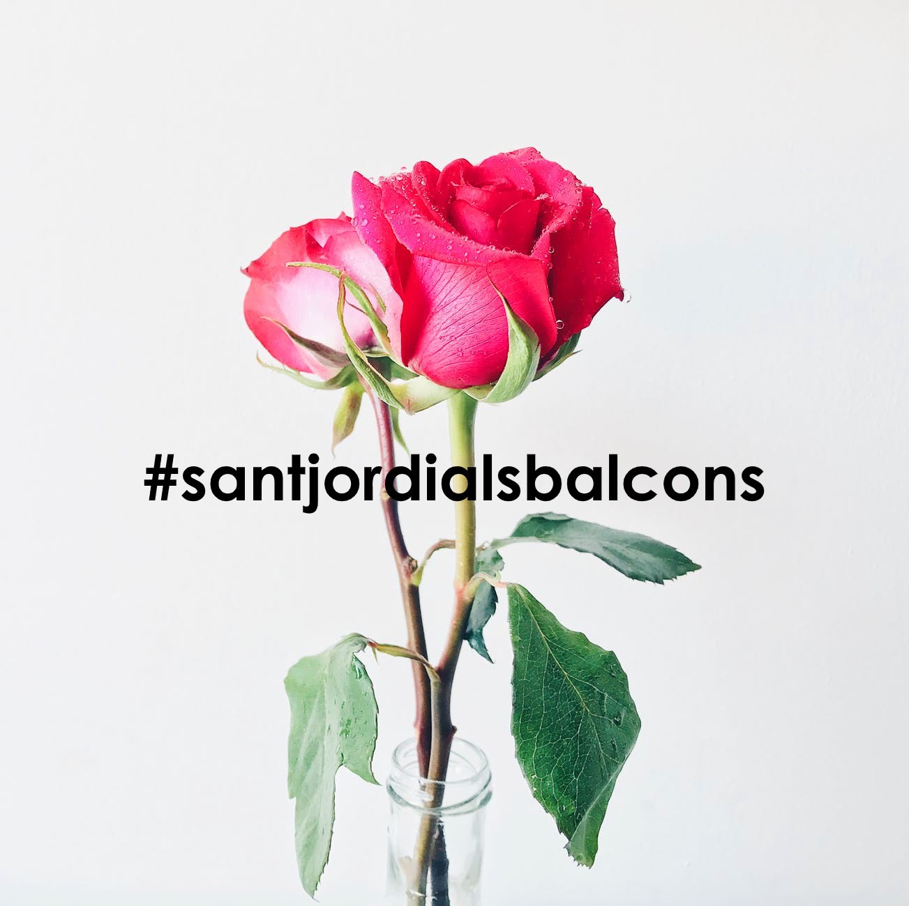  Sant Jordi als balcons