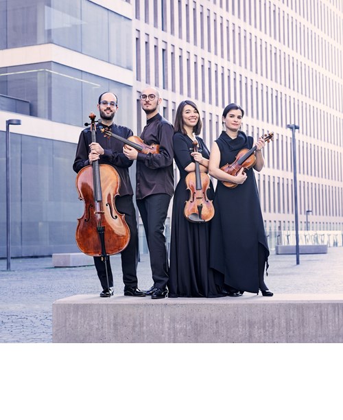Llum i ombres. Cosmos Quartet