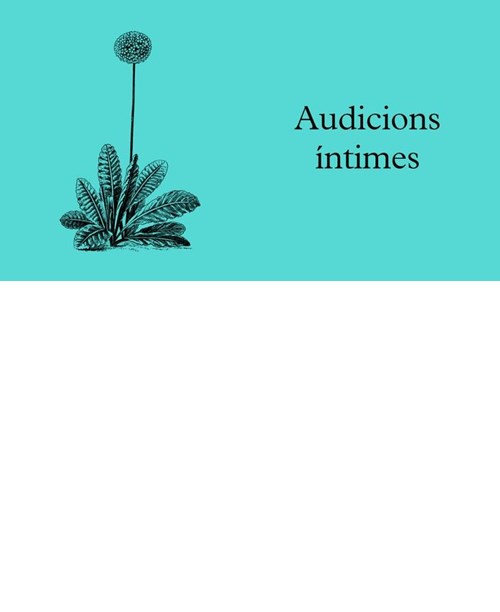 Audicions íntimes: Quartet Atenea